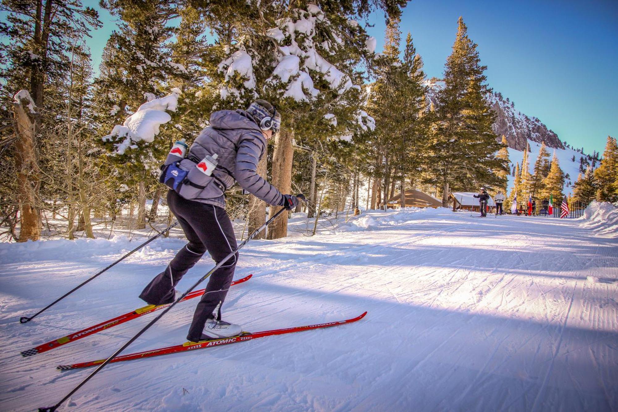 Snowcreek 590 *